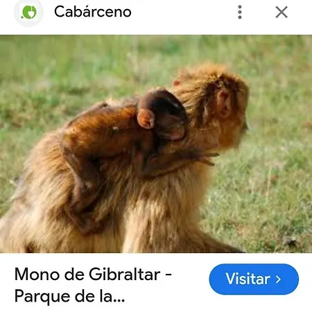 Aurora Cerca De Laredo Y Santona Daire